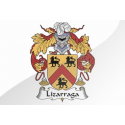 LIZARRAGA