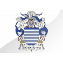 Salvatierra