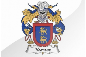 Yarnoz