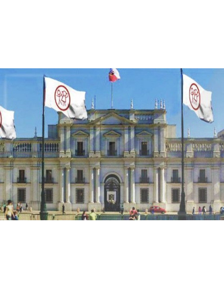 BANDERA DE LOS NI?OS