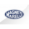 Magnetic marelli