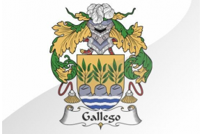 Gallego o gallegos