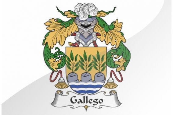 Gallego o gallegos