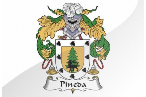 PINEDA
