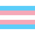 transgènere