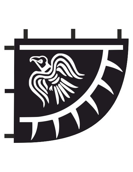 Buy Raven Banner