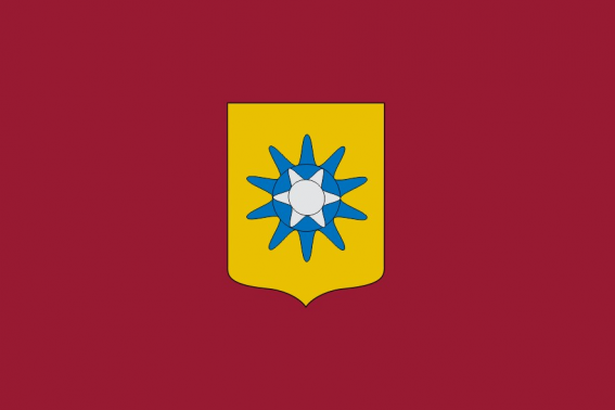 Buy flag of Trucios-Turtzioz