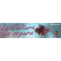 Buy the Culture is Safe banner