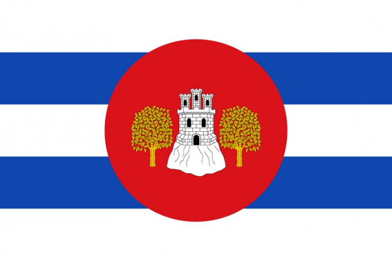 Buy Monesma y Cajigar flag