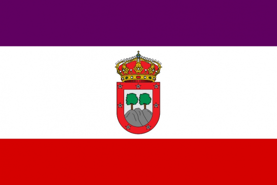 Buy Tres Cantos flag