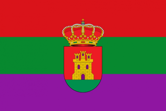 Buy Torredelcampo flag