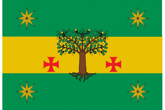 Buy Curtis municipal flag