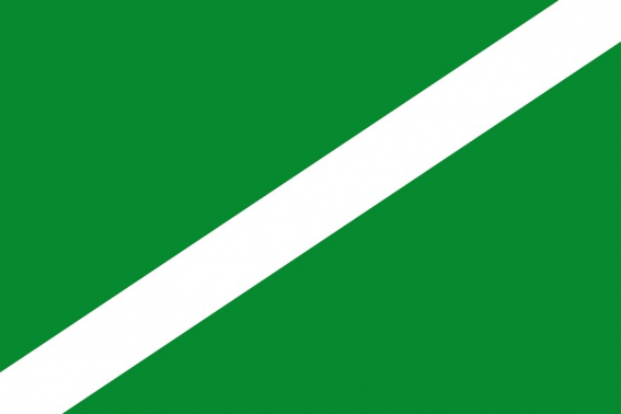 Buy flag of La Guancha