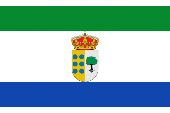 Buy Buenaventura flag