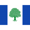 Buy municipal flag of Olmeda de Cobeta