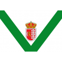 Buy Barajas de Melo flag