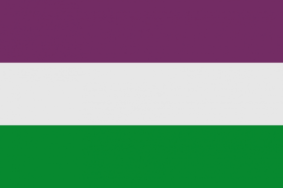 Buy Buciegas flag