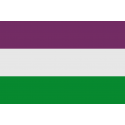 Buy Buciegas flag