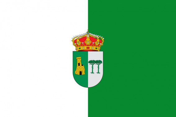 Buy flag of Torremocha del Pinar