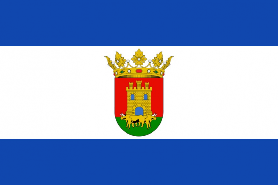 Buy flag of Talavera de la Reina