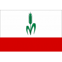 Buy flag of Vilasequilla
