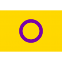 Buy Intersex Pride flag