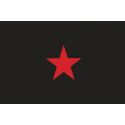 Buy flag of the Zapatista Army of National Liberation