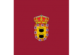 Buy Paredes de Nava flag