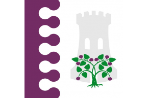 Buy La Zarza de Pumareda flag