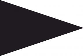 Black flag (Beach closed) 2