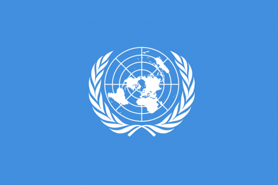 Buy UN flag