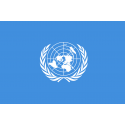 Buy UN flag