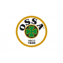 Buy flag of Ossa