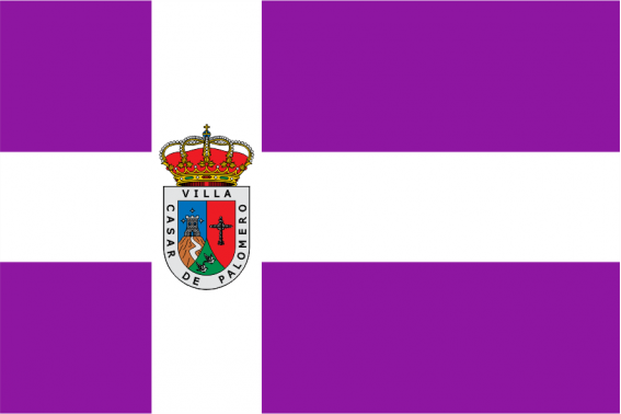 Buy Casar de Palomero flag