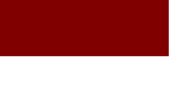 Buy flag of Pedro Muñoz