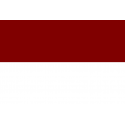 Buy flag of Pedro Muñoz