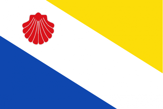 Buy Bercianos del Real Camino flag