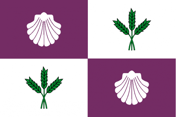 Buy El Burgo Ranero flag