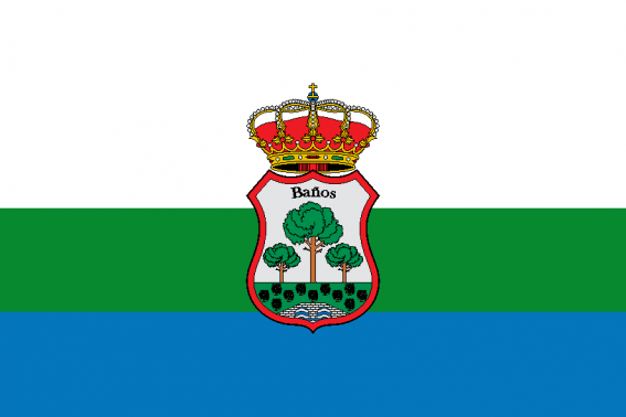 Buy flag of Baños de Valdearados