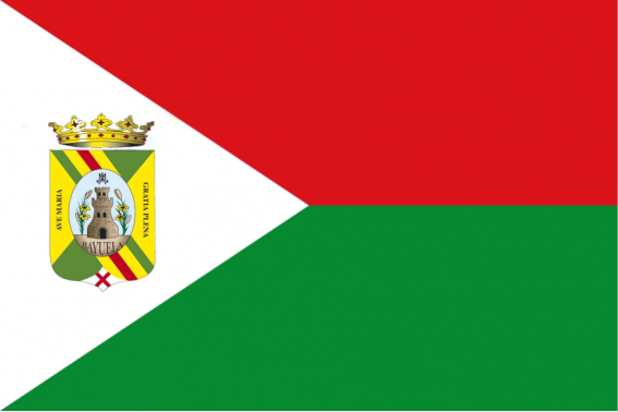 Buy Castillo de Bayuela flag