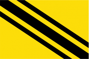 Buy Guardiola's flag from Berguedà