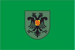 Consell Pallars Juss?