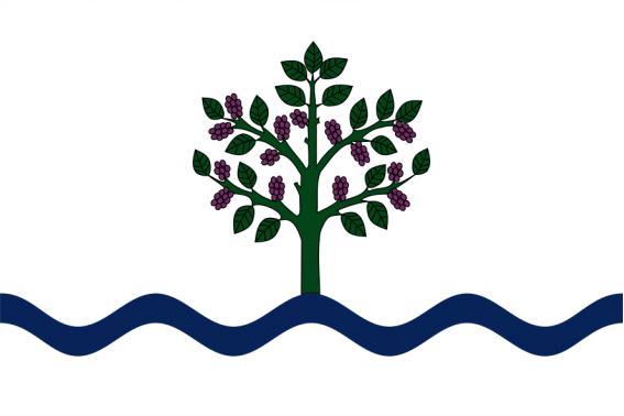 Buy the flag Móra d'Ebre