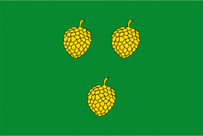 Buy Pinell de Solsonès flag