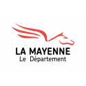 Buy Mayenne flag