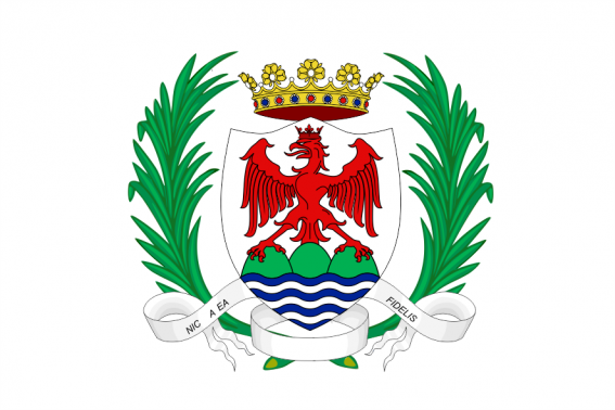 Buy flag of Alpes-Maritimes