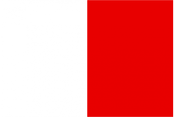 Buy Teramo flag