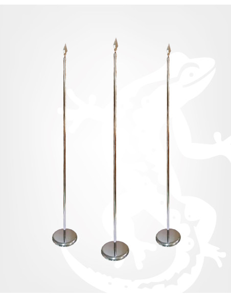 Buy Chromed indoor mast