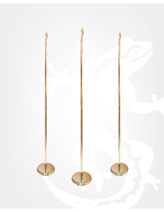 Comprar pal d'interior daurat