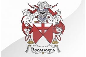 Bocanegra
